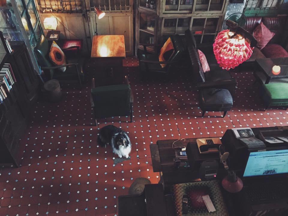 今晚与你一起微醺夜,隐身台南巷弄五间特色酒吧! 内容图6 女神网-大潮社TV实时追踪属于女人新资讯的综合网站! Kinks.jpg