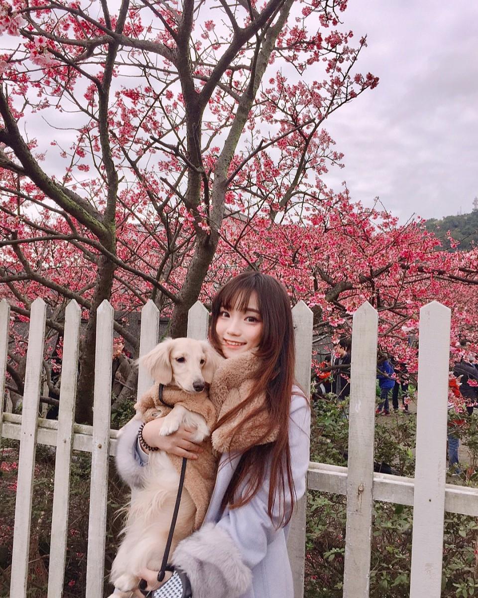 初春“粉色旋风”来袭!搜集台北两处人气赏樱秘境 内容图7 女神网-大潮社TV实时追踪属于女人新资讯的综合网站! 26377001_221302925081558_118002869247934464_n