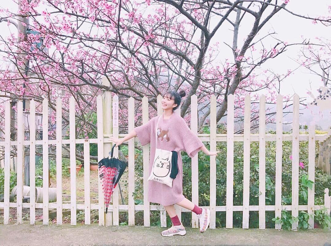 初春“粉色旋风”来袭!搜集台北两处人气赏樱秘境 内容图11 女神网-大潮社TV实时追踪属于女人新资讯的综合网站! 26869048_151199325582091_7661613694853316608_n