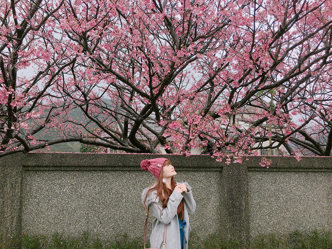 初春“粉色旋风”来袭!搜集台北两处人气赏樱秘境 内容图12 女神网-大潮社TV实时追踪属于女人新资讯的综合网站! 27582338_166607544125903_2009140805775654912_n.jpg