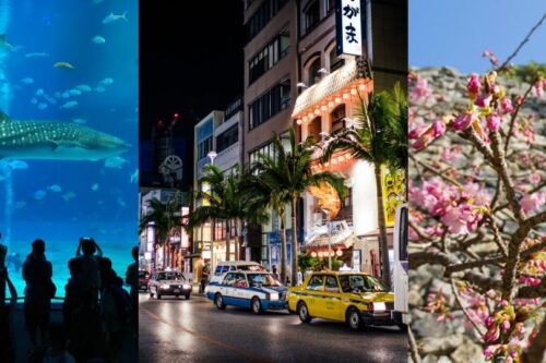 谁说冬天不能去冲绳？5 大理由告诉你这样玩更划算！