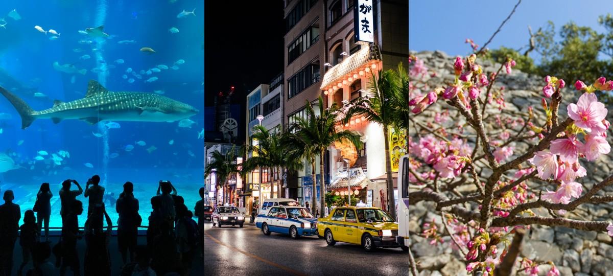 谁说冬天不能去冲绳?5 大理由告诉你这样玩更划算! 内容图1 女神网-大潮社TV实时追踪属于女人新资讯的综合网站! 谁说冬天不能去冲绳?5 大理由告诉你这样玩更划算! 乐活旅行 图1张