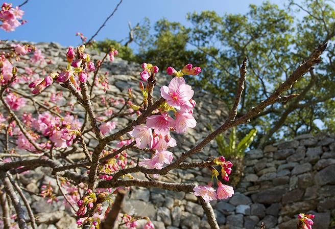 谁说冬天不能去冲绳?5 大理由告诉你这样玩更划算! 内容图3 女神网-大潮社TV实时追踪属于女人新资讯的综合网站! 谁说冬天不能去冲绳?5 大理由告诉你这样玩更划算! 乐活旅行 图3张