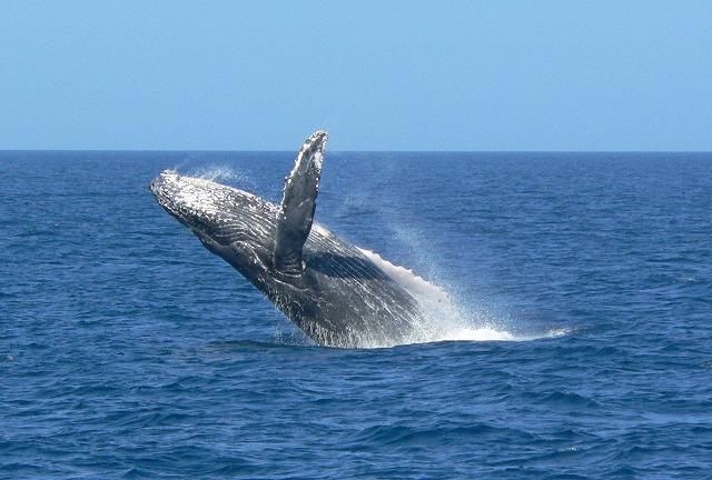 谁说冬天不能去冲绳?5 大理由告诉你这样玩更划算! 内容图5 女神网-大潮社TV实时追踪属于女人新资讯的综合网站! 谁说冬天不能去冲绳?5 大理由告诉你这样玩更划算! 乐活旅行 图5张