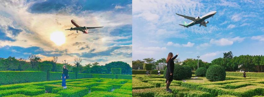 真实版“移动迷宫”?内地台湾超人气打卡迷宫景点大搜查! 内容图2 女神网-大潮社TV实时追踪属于女人新资讯的综合网站! 真实版“移动迷宫”?内地台湾超人气打卡迷宫景点大搜查! 乐活旅行 图2张