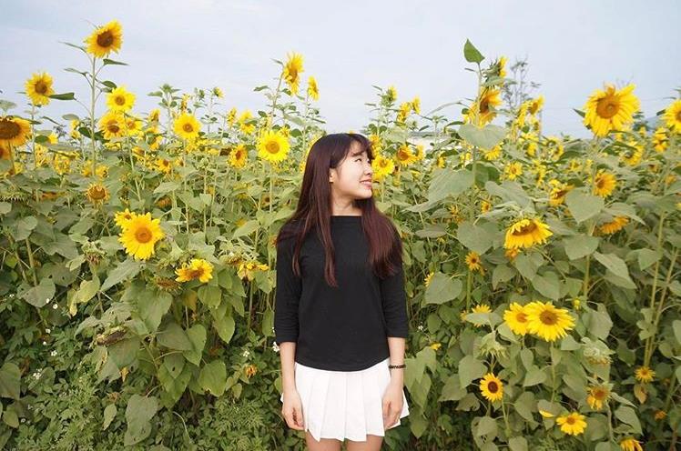 真实版“移动迷宫”?内地台湾超人气打卡迷宫景点大搜查! 内容图5 女神网-大潮社TV实时追踪属于女人新资讯的综合网站! 真实版“移动迷宫”?内地台湾超人气打卡迷宫景点大搜查! 乐活旅行 图5张