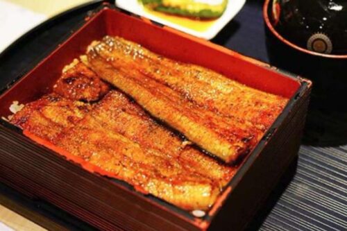 精选 7 家人气爆棚鳗鱼饭—慢火烤出的油亮光泽实在好诱人啊！