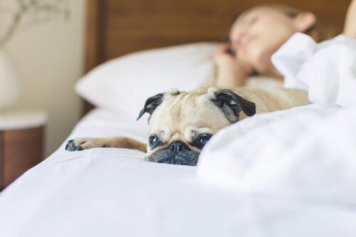 细菌藏在细节里！饭店房间这 7 个地方脏到你无法想像