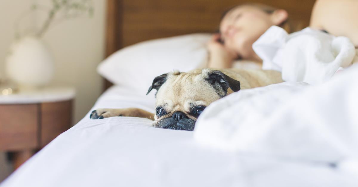 细菌藏在细节里!饭店房间这 7 个地方脏到你无法想像 内容图1 女神网-大潮社TV实时追踪属于女人新资讯的综合网站! 细菌藏在细节里!饭店房间这 7 个地方脏到你无法想像 乐活旅行 图1张