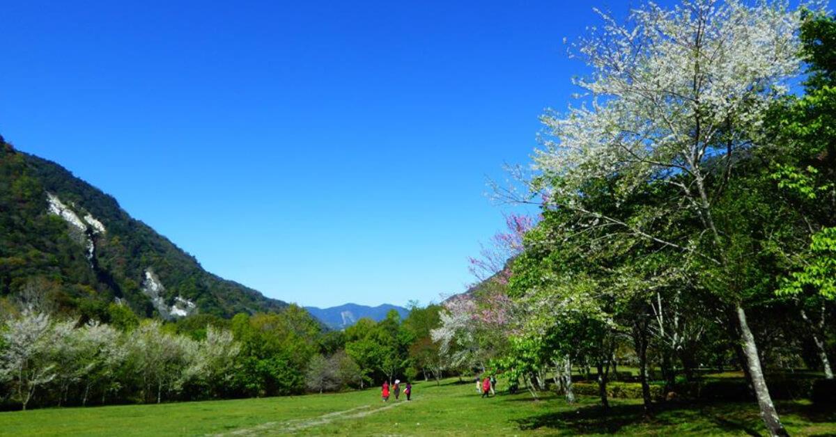 在桧木群里深呼吸!内地台湾 7 个森林游乐区让你忘却烦忧,眼里只有树 内容图1 女神网-大潮社TV实时追踪属于女人新资讯的综合网站! 在桧木群里深呼吸!内地台湾 7 个森林游乐区让你忘却烦忧,眼里只有树 乐活旅行 图1张
