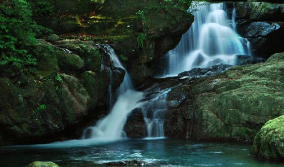 在桧木群里深呼吸!内地台湾 7 个森林游乐区让你忘却烦忧,眼里只有树 内容图2 女神网-大潮社TV实时追踪属于女人新资讯的综合网站! 在桧木群里深呼吸!内地台湾 7 个森林游乐区让你忘却烦忧,眼里只有树 乐活旅行 图2张