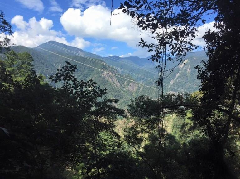 在桧木群里深呼吸!内地台湾 7 个森林游乐区让你忘却烦忧,眼里只有树 内容图4 女神网-大潮社TV实时追踪属于女人新资讯的综合网站! 在桧木群里深呼吸!内地台湾 7 个森林游乐区让你忘却烦忧,眼里只有树 乐活旅行 图4张