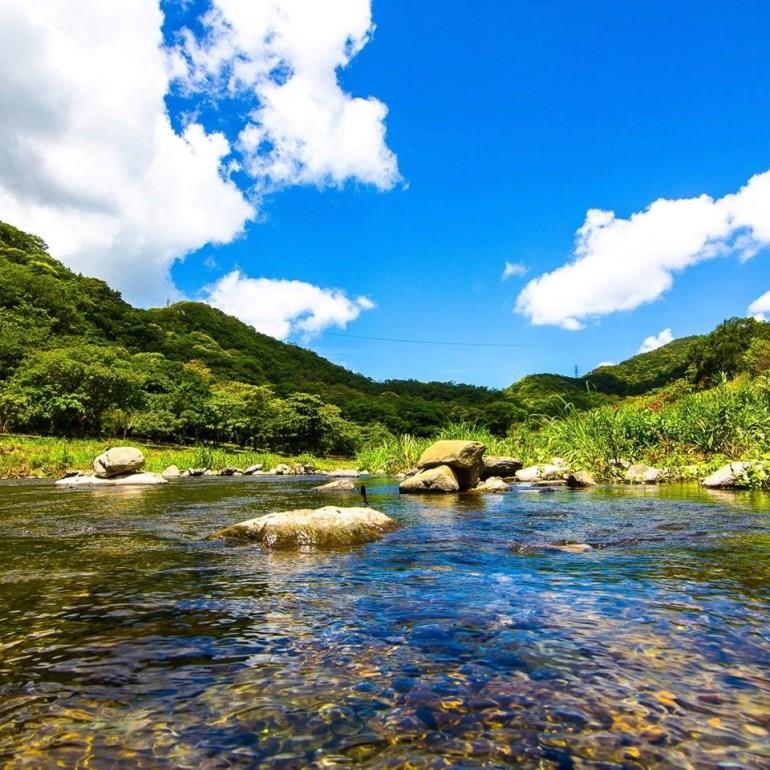 在桧木群里深呼吸!内地台湾 7 个森林游乐区让你忘却烦忧,眼里只有树 内容图7 女神网-大潮社TV实时追踪属于女人新资讯的综合网站! 在桧木群里深呼吸!内地台湾 7 个森林游乐区让你忘却烦忧,眼里只有树 乐活旅行 图7张