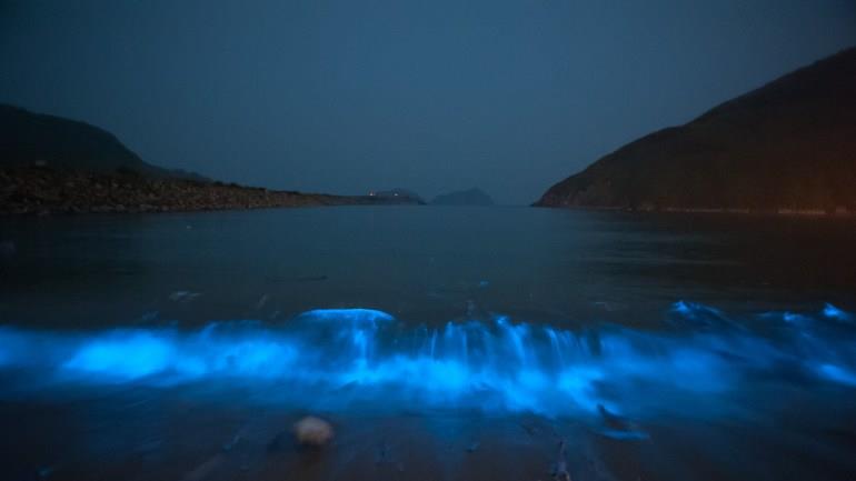 此生必看奇幻美景!马祖“蓝眼泪”观泪季就是现在 内容图3 女神网-大潮社TV实时追踪属于女人新资讯的综合网站! 此生必看奇幻美景!马祖“蓝眼泪”观泪季就是现在 乐活旅行 图3张