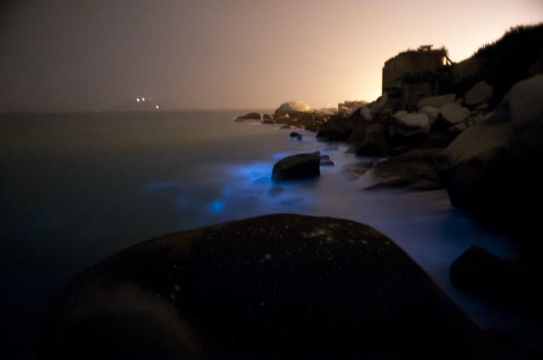 此生必看奇幻美景!马祖“蓝眼泪”观泪季就是现在 内容图5 女神网-大潮社TV实时追踪属于女人新资讯的综合网站! 此生必看奇幻美景!马祖“蓝眼泪”观泪季就是现在 乐活旅行 图5张