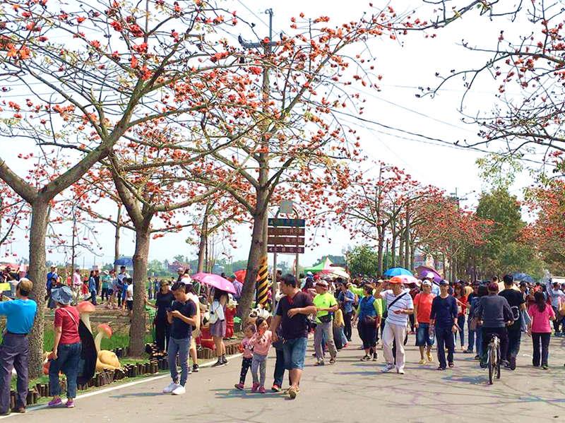 全球最美 15 条花道!2018 台南白河木棉花季攻略懒人包一次公开 内容图3 女神网-大潮社TV实时追踪属于女人新资讯的综合网站! kopok flower in Tainan 2.jpg