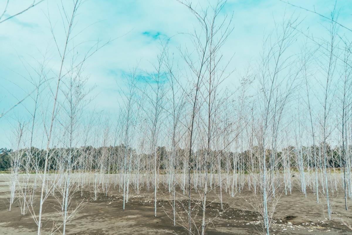 漫步海岸线踏浪、赏夕阳!前往台南渔光岛放空去 内容图3 女神网-大潮社TV实时追踪属于女人新资讯的综合网站! 漫步海岸线踏浪、赏夕阳!前往台南渔光岛放空去 乐活旅行 图3张