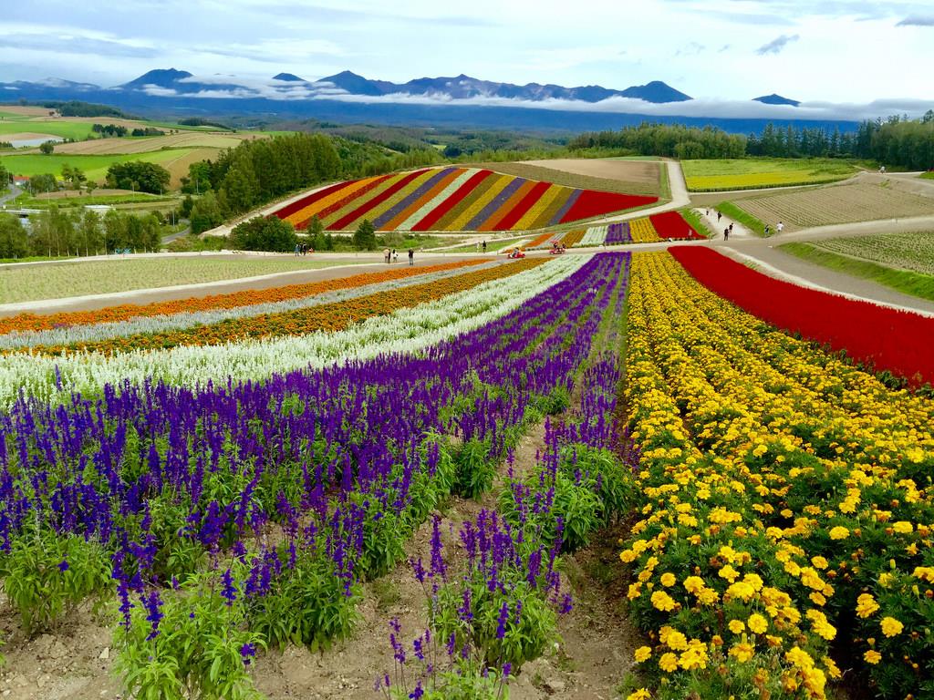 夏季全球 10 个最适合避暑胜地, 自然风光、冒险体验一次满足! 内容图2 女神网-大潮社TV实时追踪属于女人新资讯的综合网站! 夏季全球 10 个最适合避暑胜地, 自然风光、冒险体验一次满足! 乐活旅行 图2张