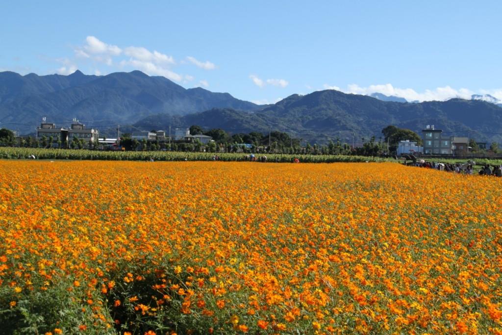 超美绿荫自行车道就在这!台中 12 个秋季旅游景点一次告诉你 内容图4 女神网-大潮社TV实时追踪属于女人新资讯的综合网站! 超美绿荫自行车道就在这!台中 12 个秋季旅游景点一次告诉你 乐活旅行 图4张