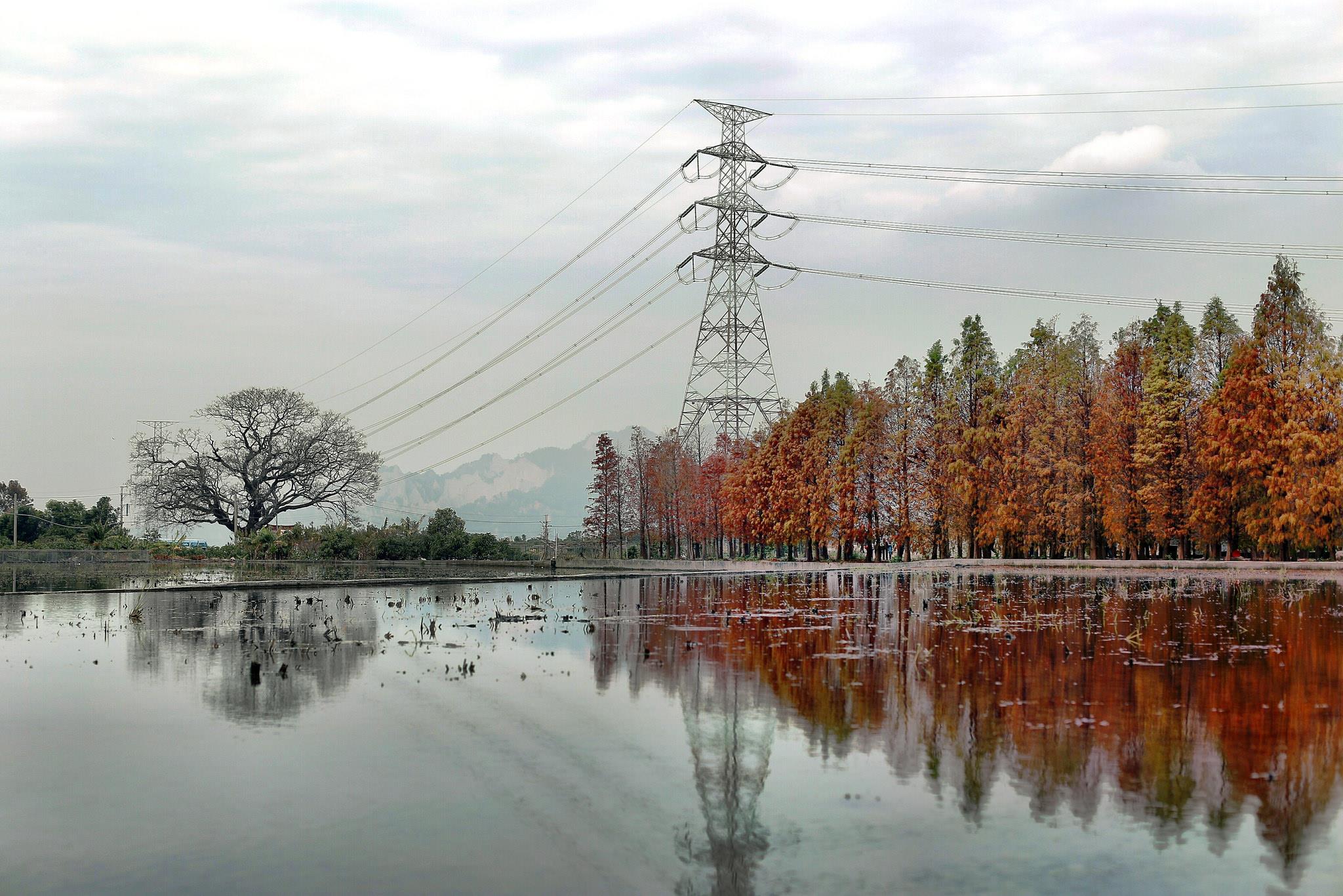 超美绿荫自行车道就在这!台中 12 个秋季旅游景点一次告诉你 内容图6 女神网-大潮社TV实时追踪属于女人新资讯的综合网站! 超美绿荫自行车道就在这!台中 12 个秋季旅游景点一次告诉你 乐活旅行 图6张