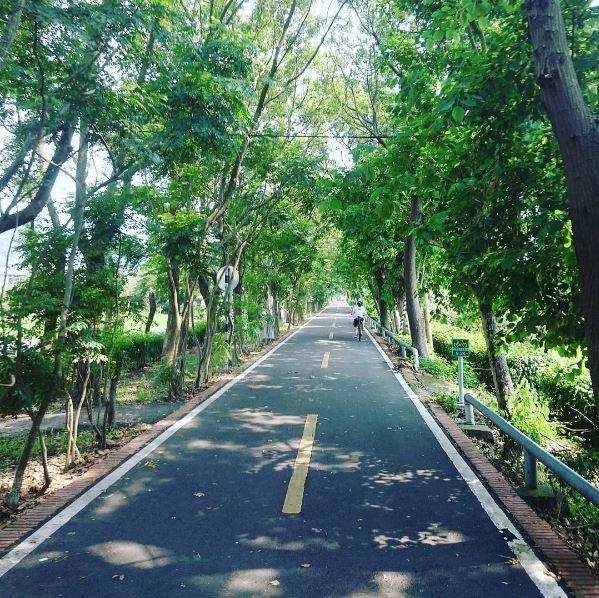 超美绿荫自行车道就在这!台中 12 个秋季旅游景点一次告诉你 内容图17 女神网-大潮社TV实时追踪属于女人新资讯的综合网站! 超美绿荫自行车道就在这!台中 12 个秋季旅游景点一次告诉你 乐活旅行 图17张