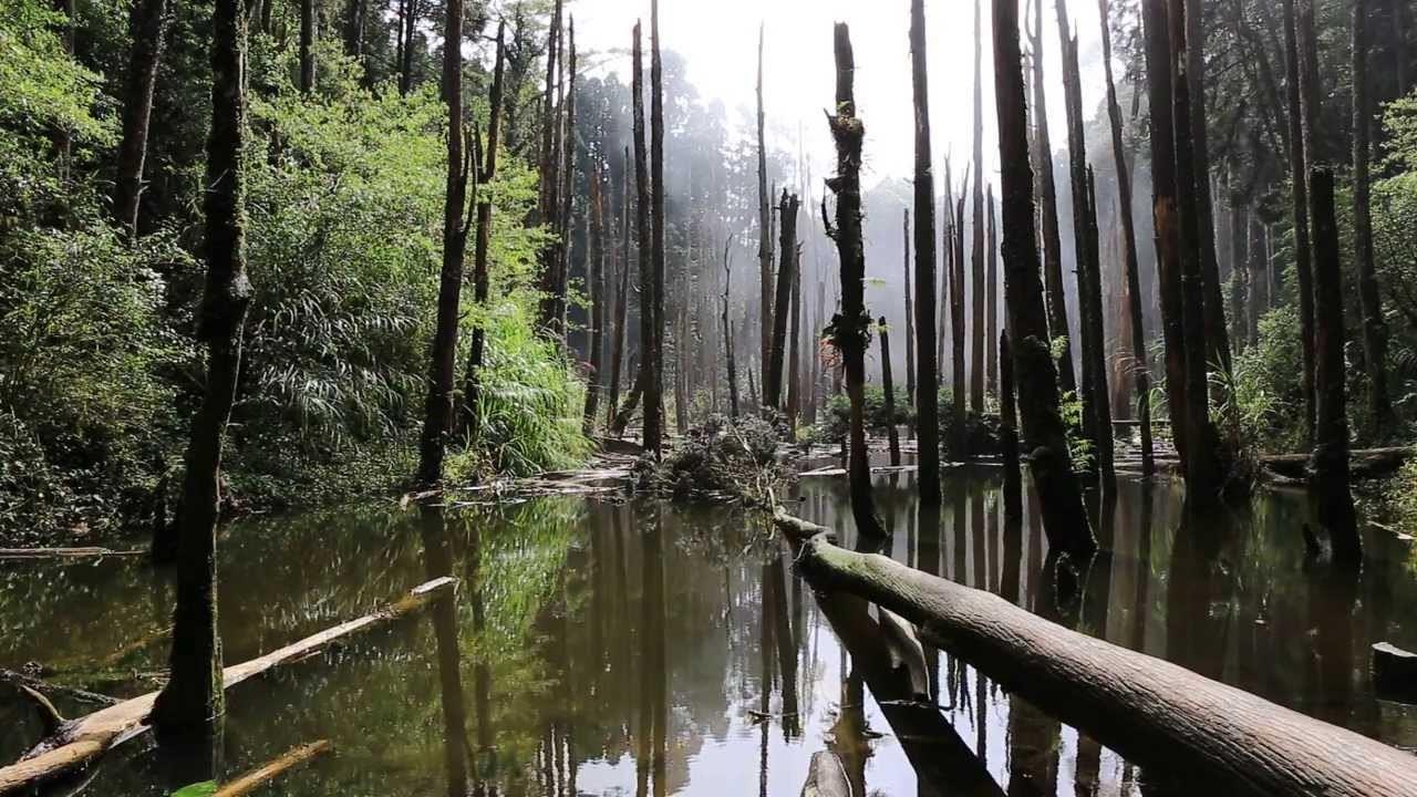 来趟归零心情的“忘忧”旅行吧!10 个隐身在TW各处的私房放松景点 内容图5 女神网-大潮社TV实时追踪属于女人新资讯的综合网站! 43.jpg