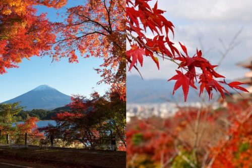 秋意浓！ 8 个年年受用的日本关东“枫”旅行推荐