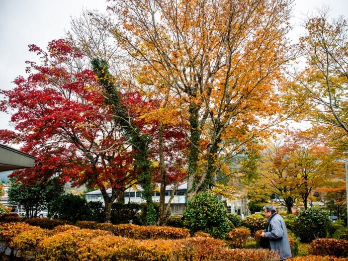 秋意浓! 8 个年年受用的日本关东“枫”旅行推荐 内容图7 女神网-大潮社TV实时追踪属于女人新资讯的综合网站! 8