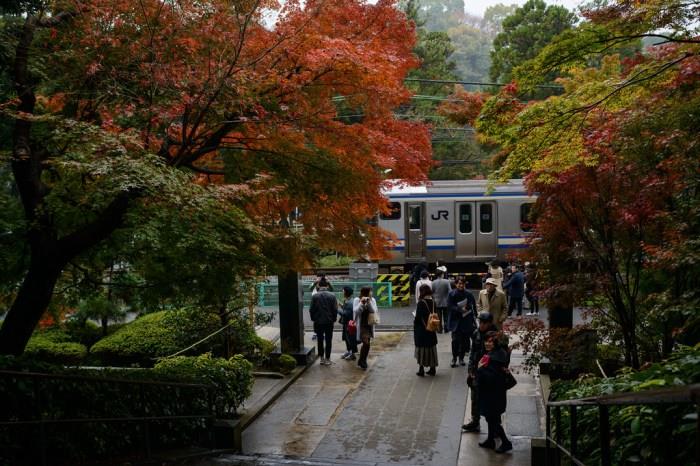 秋意浓! 8 个年年受用的日本关东“枫”旅行推荐 内容图8 女神网-大潮社TV实时追踪属于女人新资讯的综合网站! 9