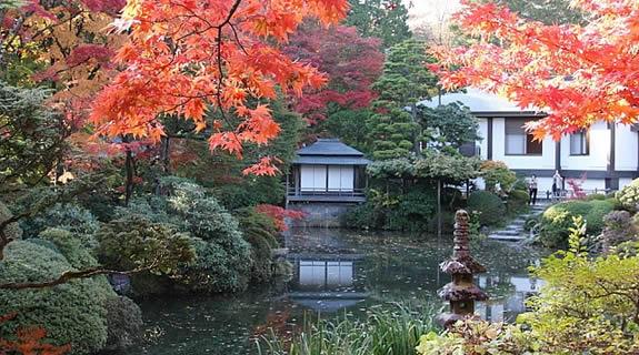 秋意浓! 8 个年年受用的日本关东“枫”旅行推荐 内容图9 女神网-大潮社TV实时追踪属于女人新资讯的综合网站! 10