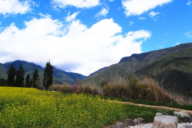 去哪里遛长辈?踏青、拜拜、吹冷气,超适合带爸妈去的台中景点推荐 内容图5 女神网-大潮社TV实时追踪属于女人新资讯的综合网站! 5555182202_36ecb355ab_z.jpg