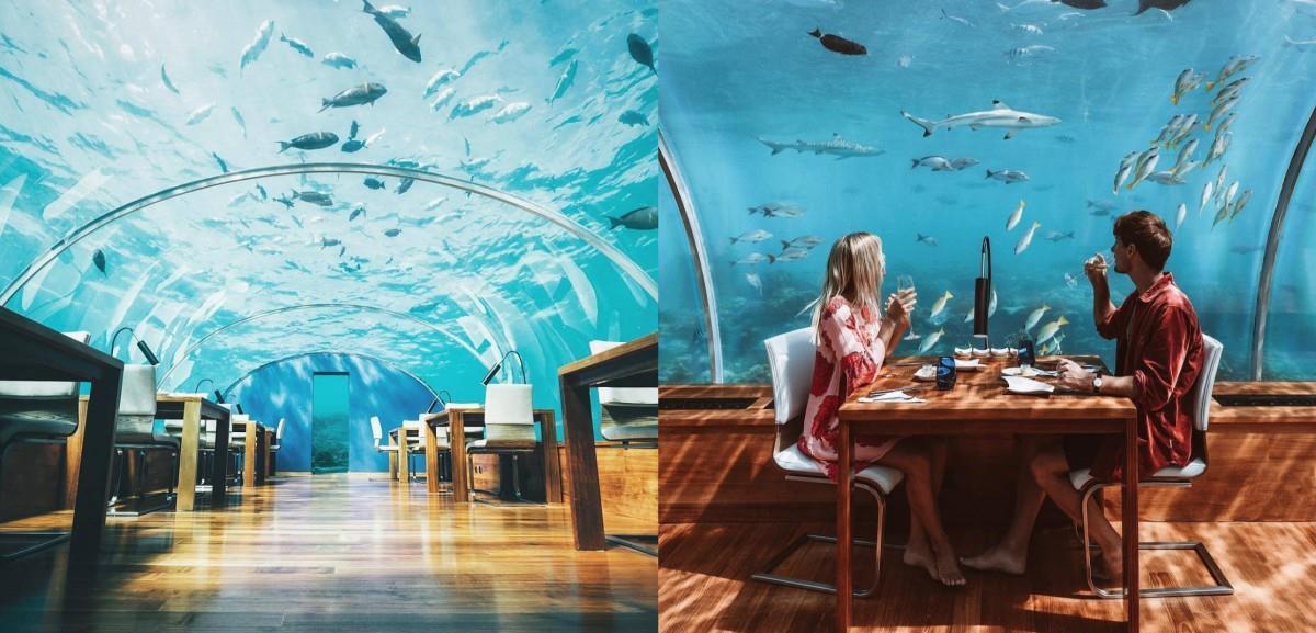 我跟鲨鱼有个约会!夏日就到这 4 间海洋餐厅感受“水底情深” 内容图1 女神网-大潮社TV实时追踪属于女人新资讯的综合网站! 我跟鲨鱼有个约会!夏日就到这 4 间海洋餐厅感受“水底情深” 乐活旅行 图1张