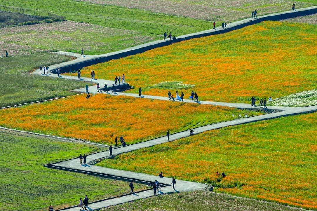 过年去哪玩?精选 8 个内地台湾热门景点,原来还有这些好去处! 内容图5 女神网-大潮社TV实时追踪属于女人新资讯的综合网站! 过年去哪玩?精选 8 个内地台湾热门景点,原来还有这些好去处! 乐活旅行 图5张