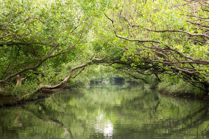 过年去哪玩?精选 8 个内地台湾热门景点,原来还有这些好去处! 内容图7 女神网-大潮社TV实时追踪属于女人新资讯的综合网站! 过年去哪玩?精选 8 个内地台湾热门景点,原来还有这些好去处! 乐活旅行 图7张