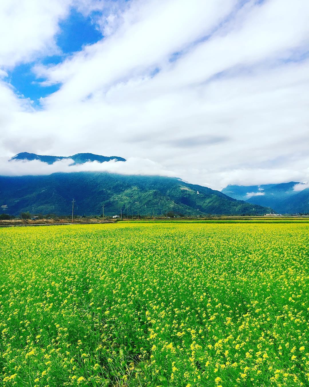 过年去哪玩?精选 8 个内地台湾热门景点,原来还有这些好去处! 内容图9 女神网-大潮社TV实时追踪属于女人新资讯的综合网站! 过年去哪玩?精选 8 个内地台湾热门景点,原来还有这些好去处! 乐活旅行 图9张