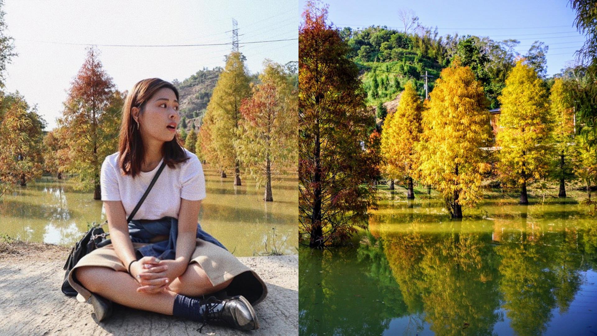 随便拍都美翻天!秋冬必去朝圣的 6 大落羽松 IG 打卡秘境 内容图2 女神网-大潮社TV实时追踪属于女人新资讯的综合网站! FotoJet (1).jpg