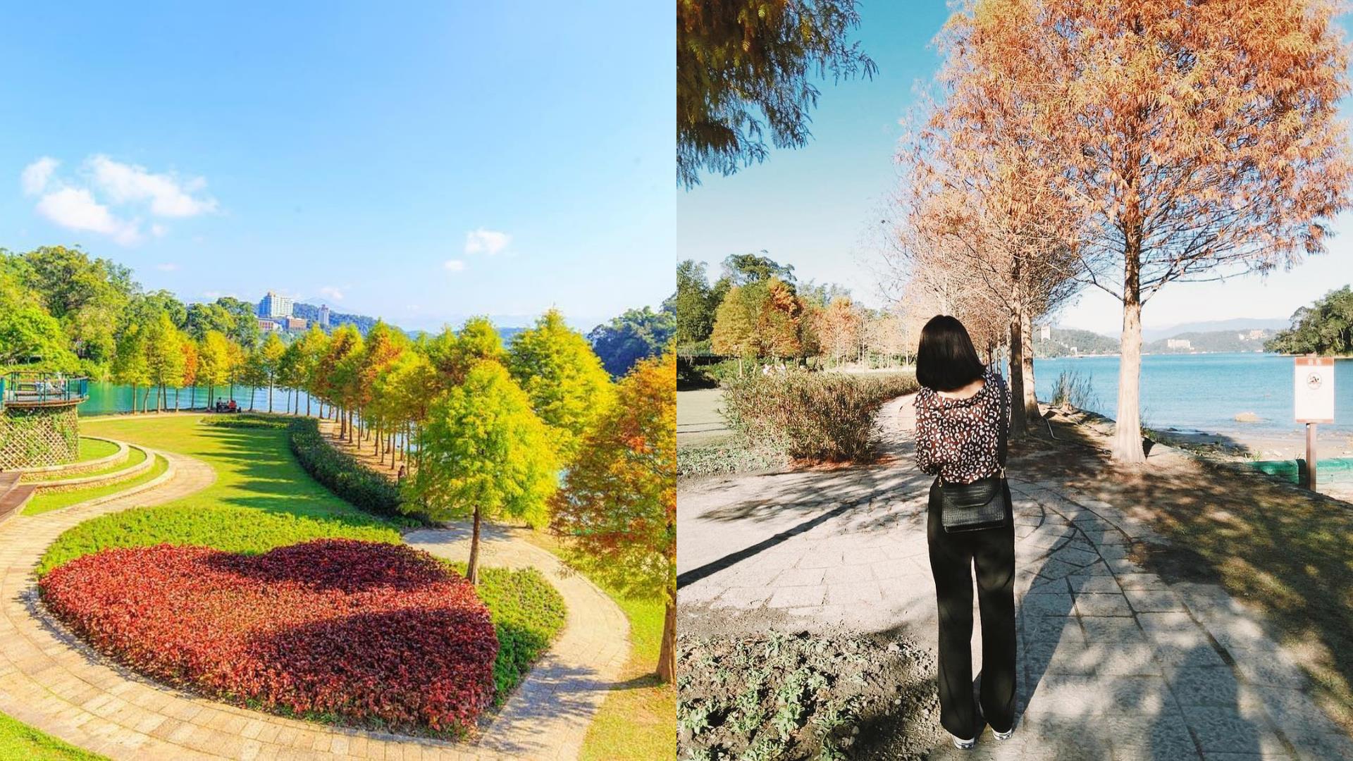 随便拍都美翻天!秋冬必去朝圣的 6 大落羽松 IG 打卡秘境 内容图5 女神网-大潮社TV实时追踪属于女人新资讯的综合网站! FotoJet (5).jpg