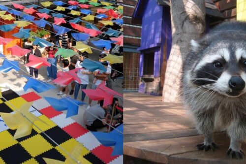 高雄一日游这样玩！跟随潮流，走透好玩好拍的 14 个隐藏人气秘境