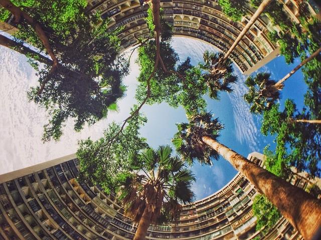 高雄一日游这样玩!跟随潮流,走透好玩好拍的 14 个隐藏人气秘境 内容图15 女神网-大潮社TV实时追踪属于女人新资讯的综合网站! 高雄一日游这样玩!跟随潮流,走透好玩好拍的 14 个隐藏人气秘境 乐活旅行 图15张