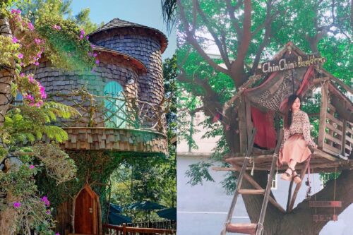 周末好去处：内地台湾 6 间童话般的梦幻“树屋”报你知，一起转角遇见豆豆龙！