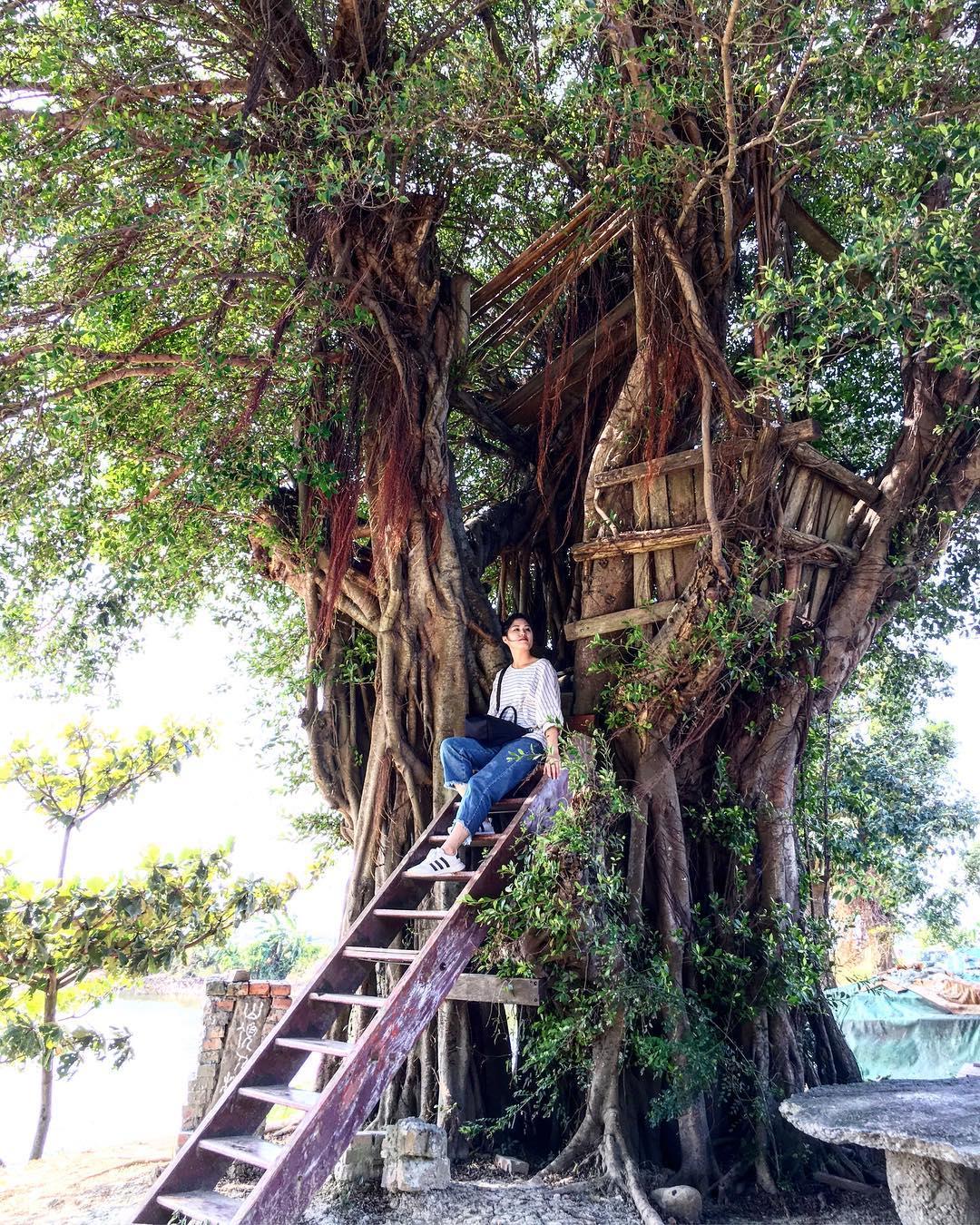 周末好去处:内地台湾 6 间童话般的梦幻“树屋”报你知,一起转角遇见豆豆龙! 内容图6 女神网-大潮社TV实时追踪属于女人新资讯的综合网站! 42999515_2156730907916215_2609555198742171145_n.jpg