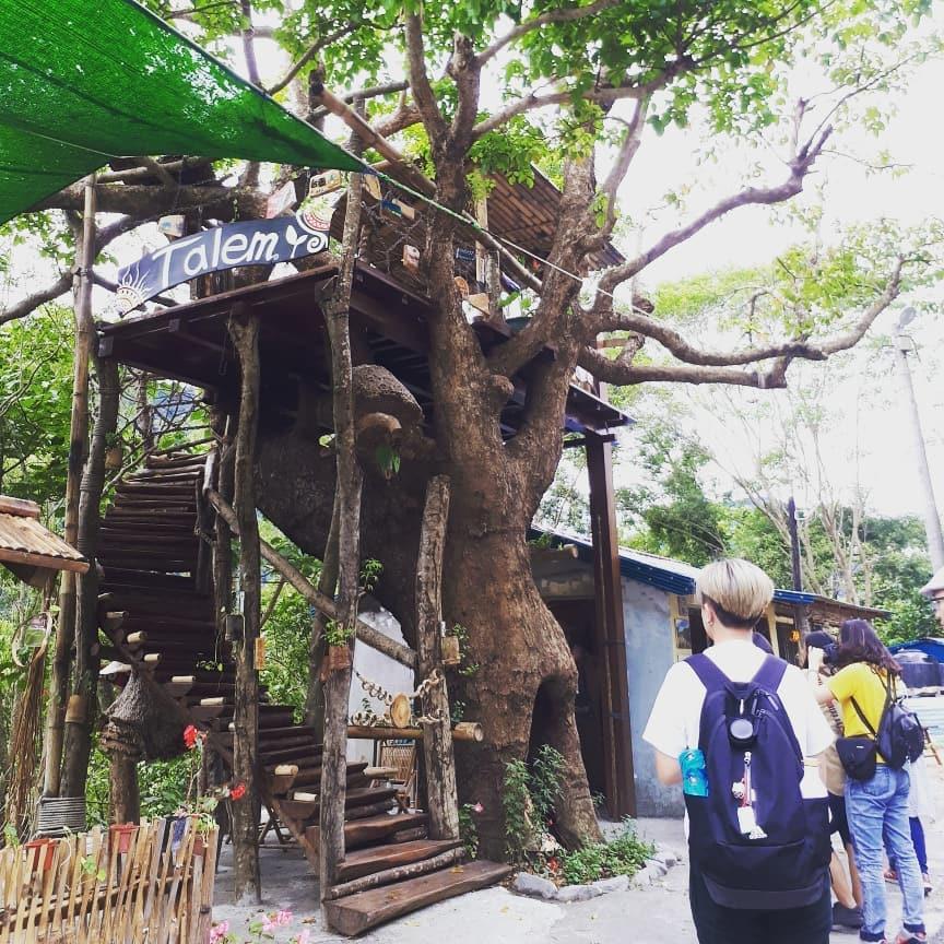 周末好去处:内地台湾 6 间童话般的梦幻“树屋”报你知,一起转角遇见豆豆龙! 内容图7 女神网-大潮社TV实时追踪属于女人新资讯的综合网站! 51658553_360972887823654_6882918444507446013_n.jpg