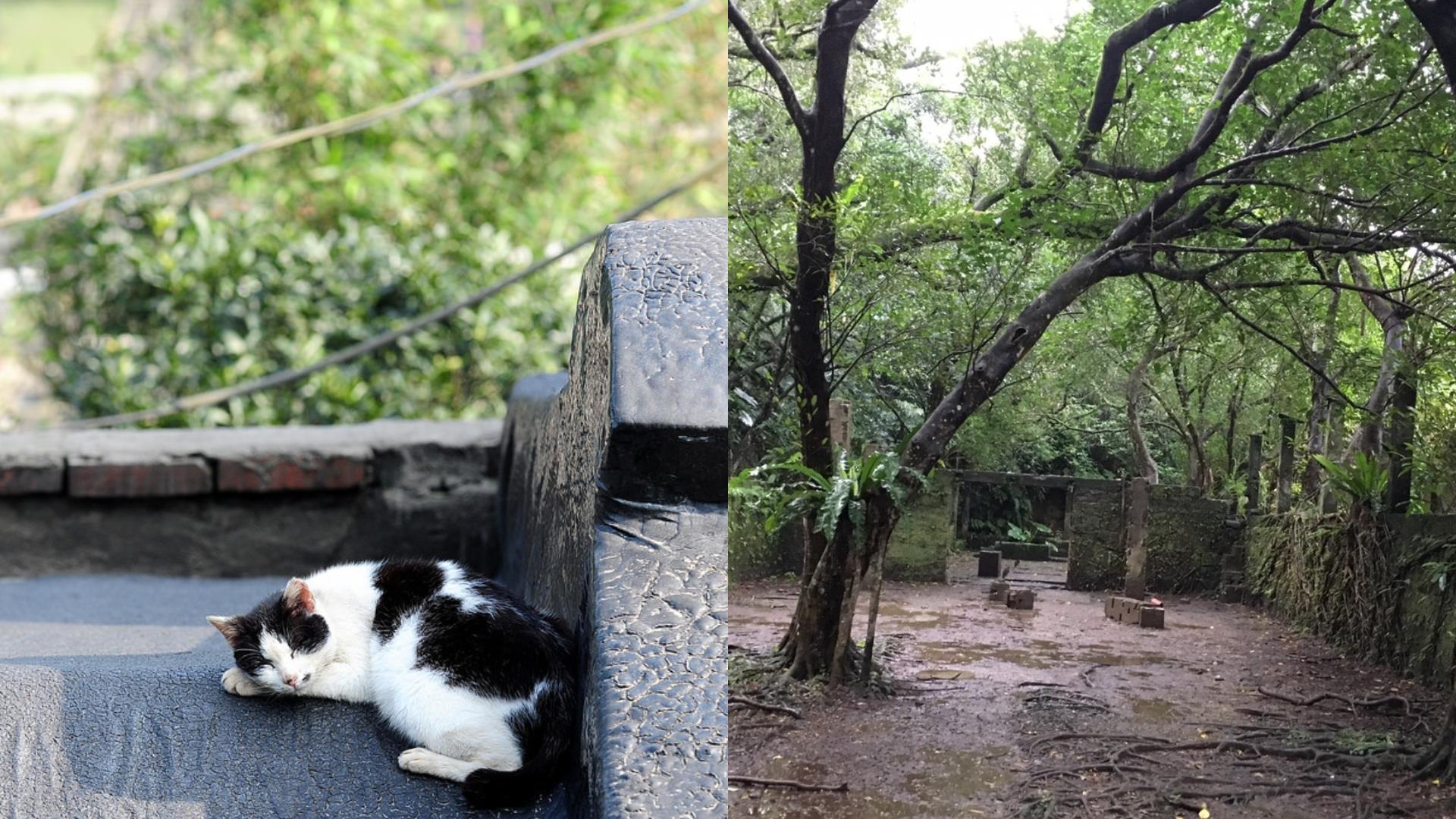 享受隐居山城的惬意:从九份出发,提案 2 种大众运输就能抵达的轻旅行程 内容图9 女神网-大潮社TV实时追踪属于女人新资讯的综合网站! 享受隐居山城的惬意:从九份出发,提案 2 种大众运输就能抵达的轻旅行程 乐活旅行 图9张