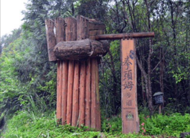 想到宜兰拍婚纱吗?精选 10 个超美秘境,梦幻、童话、文青风任君挑选 内容图3 女神网-大潮社TV实时追踪属于女人新资讯的综合网站! 拳头姆自然步道-e1558972948165.jpg