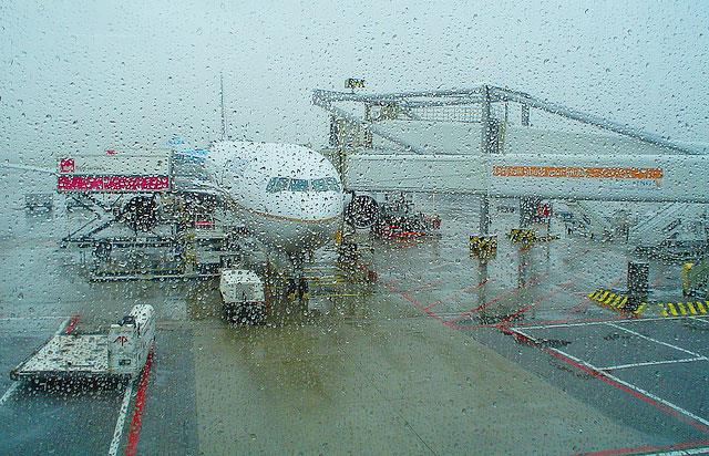 突如其来的台风打乱行程?5 个常见问题解答,别让你的权益睡着 内容图2 女神网-大潮社TV实时追踪属于女人新资讯的综合网站! 突如其来的台风打乱行程?5 个常见问题解答,别让你的权益睡着 乐活旅行 图2张