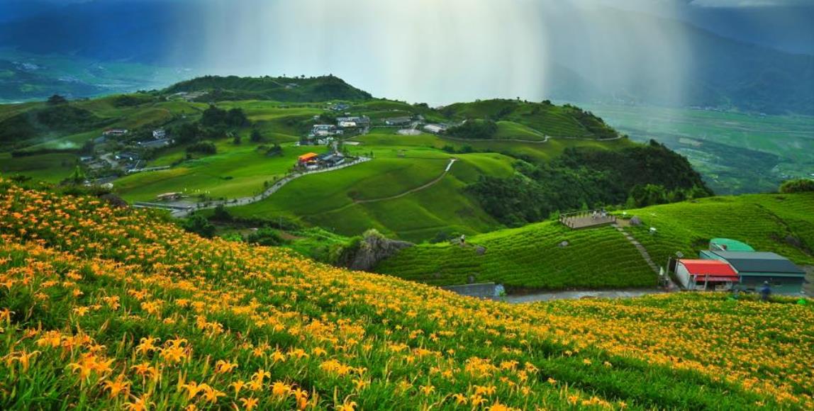 被金黄X渲染的大地画布:踏寻 7 个宛如人间秘境的赏金针花景点,所有忧愁立即烟消云散 内容图1 女神网-大潮社TV实时追踪属于女人新资讯的综合网站! 被金黄X渲染的大地画布:踏寻 7 个宛如人间秘境的赏金针花景点,所有忧愁立即烟消云散 乐活旅行 图1张