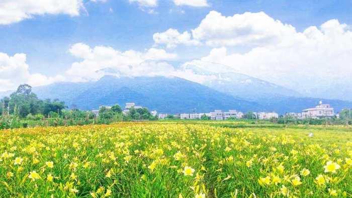 被金黄X渲染的大地画布:踏寻 7 个宛如人间秘境的赏金针花景点,所有忧愁立即烟消云散 内容图3 女神网-大潮社TV实时追踪属于女人新资讯的综合网站! 被金黄X渲染的大地画布:踏寻 7 个宛如人间秘境的赏金针花景点,所有忧愁立即烟消云散 乐活旅行 图3张