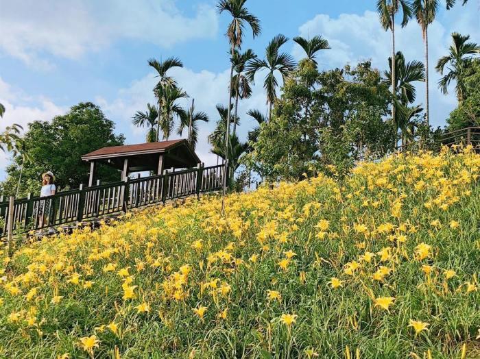 被金黄X渲染的大地画布:踏寻 7 个宛如人间秘境的赏金针花景点,所有忧愁立即烟消云散 内容图6 女神网-大潮社TV实时追踪属于女人新资讯的综合网站! 被金黄X渲染的大地画布:踏寻 7 个宛如人间秘境的赏金针花景点,所有忧愁立即烟消云散 乐活旅行 图6张