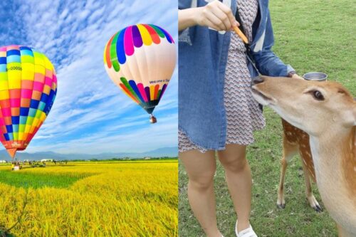 漫步宜兰冬山：“斑比山丘”、Norimori 选物民家和三奇伯朗大道，在稻香中疗愈疲惫的都市灵魂