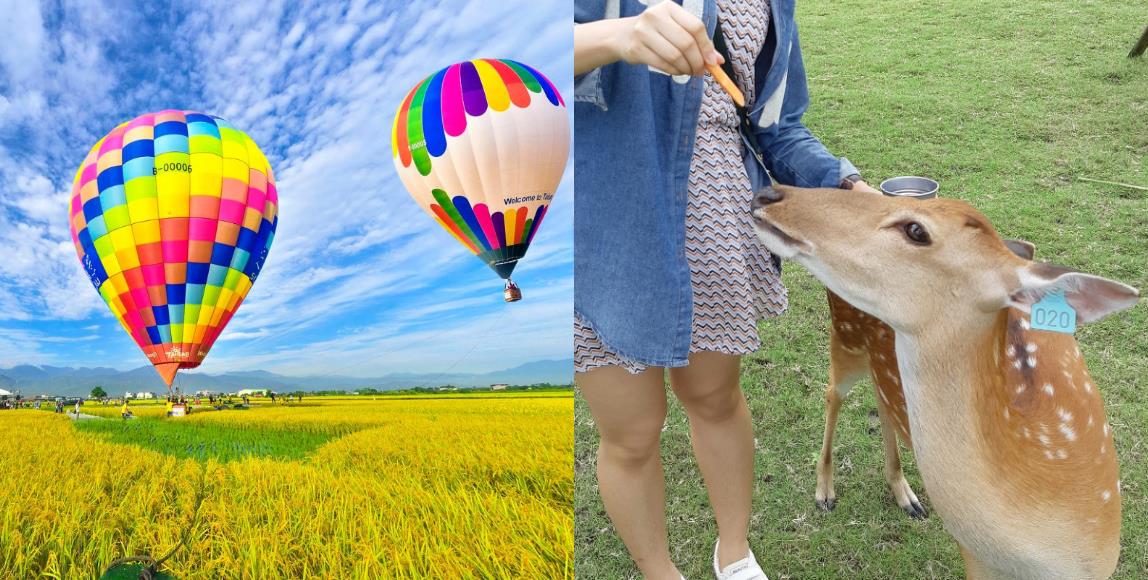 漫步宜兰冬山:“斑比山丘”、Norimori 选物民家和三奇伯朗大道,在稻香中疗愈疲惫的都市灵魂 内容图1 女神网-大潮社TV实时追踪属于女人新资讯的综合网站! 漫步宜兰冬山:“斑比山丘”、Norimori 选物民家和三奇伯朗大道,在稻香中疗愈疲惫的都市灵魂 乐活旅行 图1张